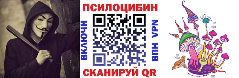 Псилоцибиновые грибы Psilocybine cubensis закладки Муравленко